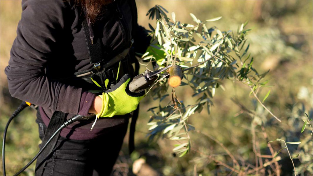 Electrical-portable-tools-application