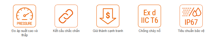 Đầu dò áp suất PTF30 loại hiển thị Autonics 1 Các tính năng chính đầu dò áp suất PTF30